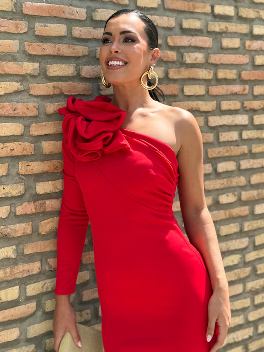 Vestido Clavel Rojo